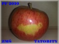 PF 2010
